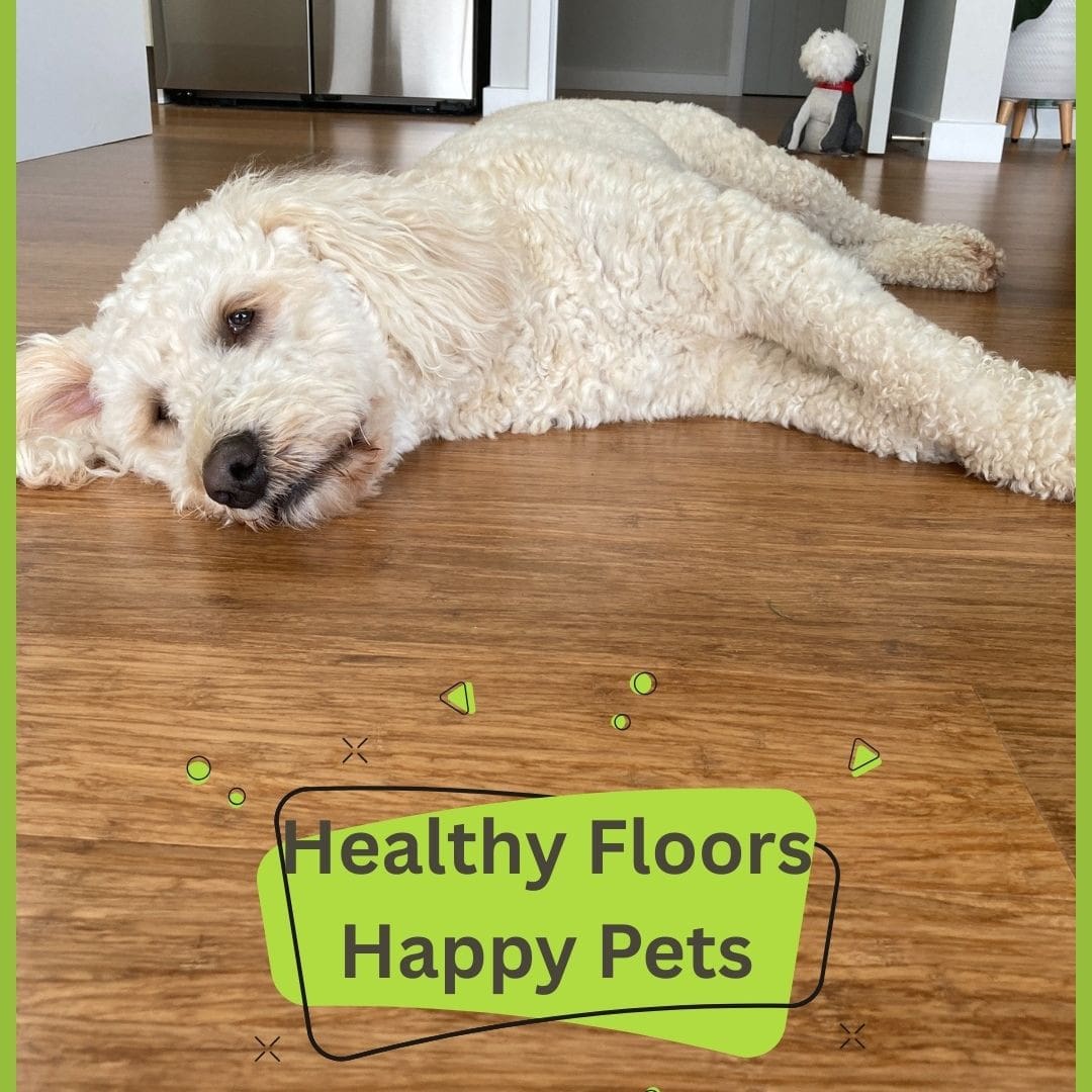 We are often asked is bamboo flooring suitable for dogs? Yes, it definitely is.  While no floor is completely pet-proof, bamboo is a great option for pet owners due to its hardness, scratch resistance, and ease of cleaning. Bamboo is naturally antimicrobial and resists mould and mildew, making it a healthy option for homes with pets. 🐶🌱
#plantationbamboo #bamboo #flooring #bambooflooring #nzrenovations #sustainabledesign #sustainable #gogreen #beautiful #inspiration #natural #ecological #ecofriendly #buildgreen #durable #durableflooring #interiordesign #nzinterior #newbuild #newzealand #design #nzdesigner #architecture #architect #nzbuilding