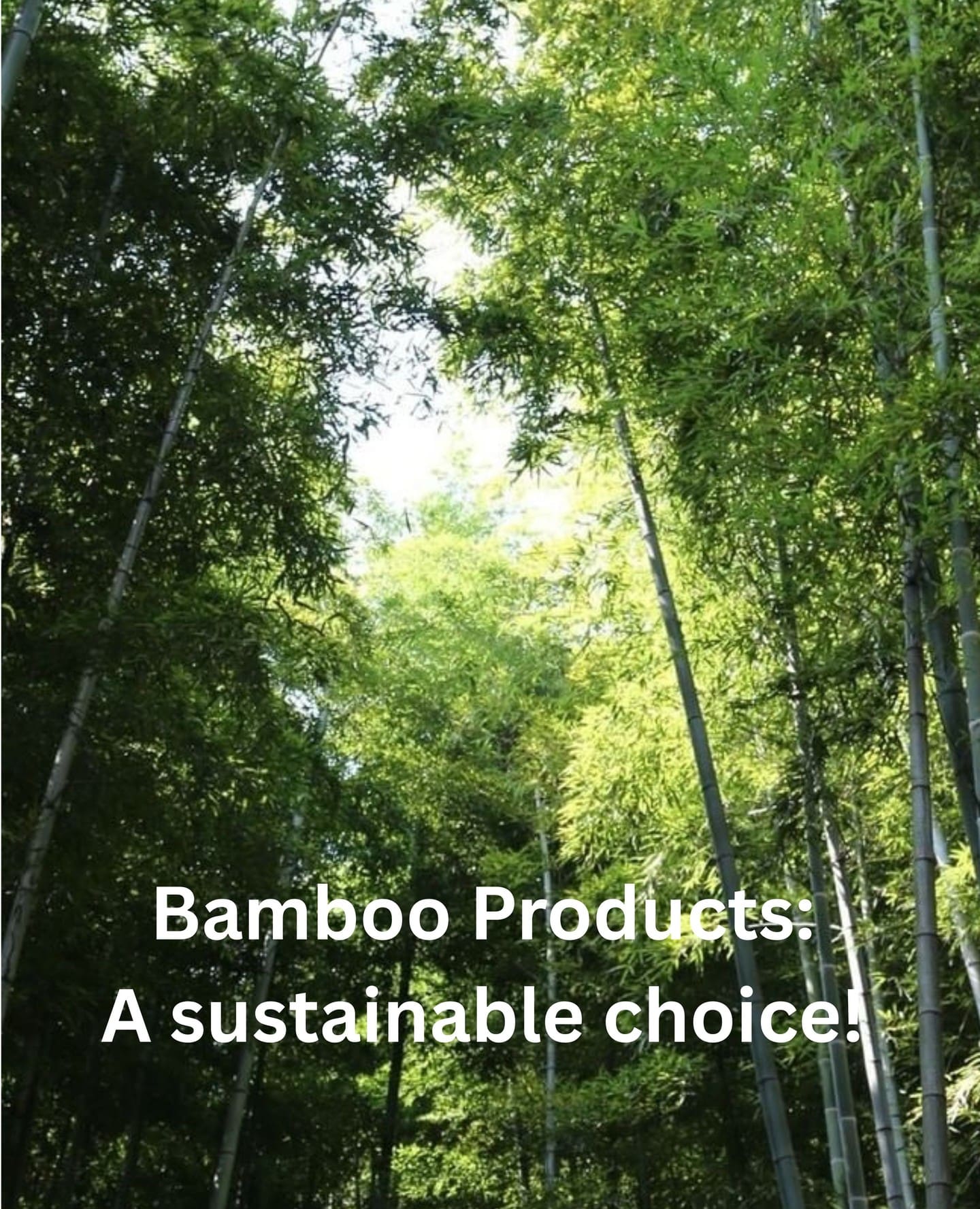Bamboo products are a sustainable choice for your home. 🏠️
Bamboo is a naturally occurring and renewable material which inherently makes it a sustainable choice. What makes it even more eco-friendly is the rapid rate of its renewability, with some species growing up to a metre a day!
Bamboo absorbs carbon dioxide (CO2) from the air, up to twelve tonnes per hectare, per year – making it a very sustainable material to use in your home and garden.
Bamboo is a grass rather than a tree, so it puts down shallow roots and grows shoots which emerge from the ground and very quickly grow into tall canes within a couple of months. 🌱
#plantationbamboo #bamboo #green #gogreen #builtgreen #strong #sustainabledesign #sustainablebamboo #sustainable #sustainability #durability #durable #beautiful #design #designer #inspiration #natural #ecofriendly #interiordesign #interior #newbuild #newzealand #architecture #nzbuilding
