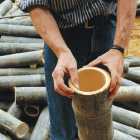 Production phase of bamboo