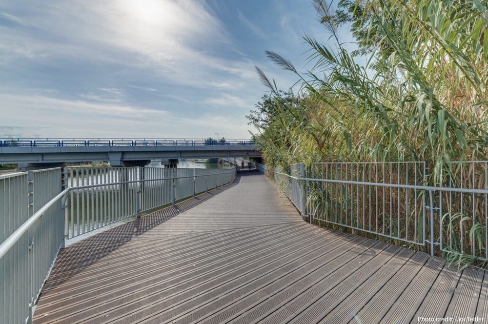 Landscaped walkway with bamboo x-treme decking