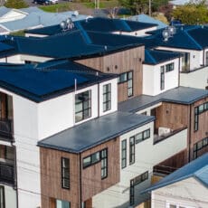bamboo cladding apartments