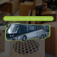 From Bus to Beautiful: Bamboo in Motion bus bamboo project with panels