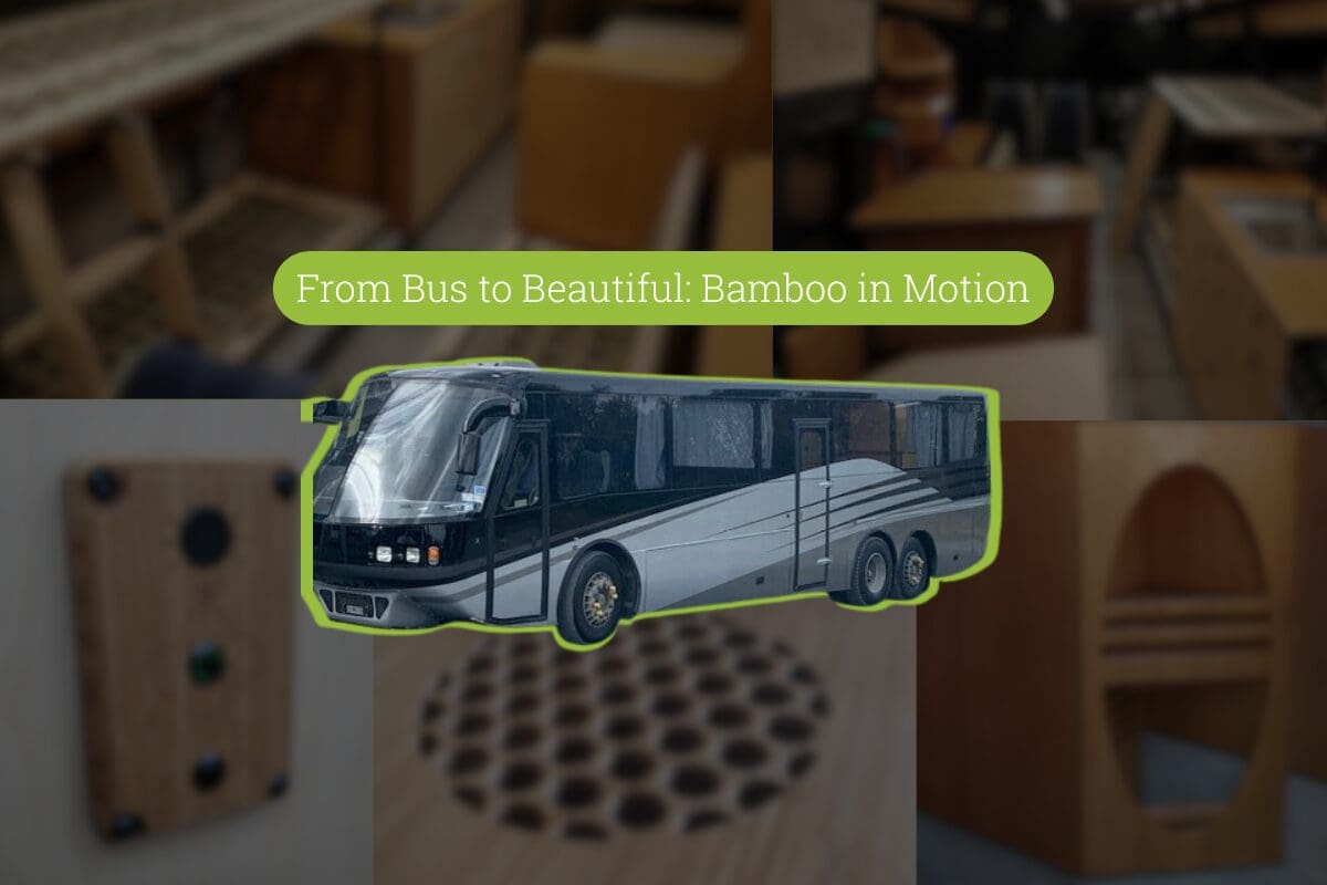 bus bamboo project with panels